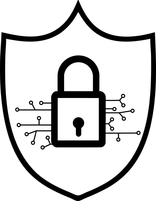 cybersecurity-6375941_640